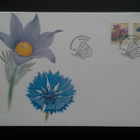 FDC Yleismerkit / Maakuntakukat 16.5.2001 LaPe 1570-1571 - pikkukuva 1