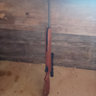 Stoeger 55 ilmakivääri - pikkukuva 2