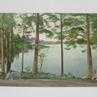 Kuopio Väinölänniemi np - pikkukuva 1