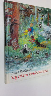 Kaija Pakkanen : Tapahtui kesäsaaressa