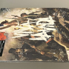 COLDPLAY: Viva La Vida - LP, Clear Vinyl, uusi - pikkukuva 5