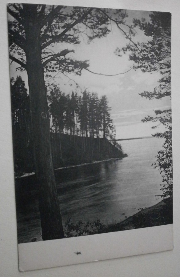 Kangasala, Kaivanto, mv pk, ei p.