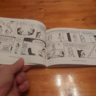 RASKAANSARJAN PELIMIEHET - pikkukuva 3