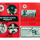 UUSI PRO HOCKEY SCHOOL 1976 ESITE - ILMAINEN TOIMITUS ! - pikkukuva 1
