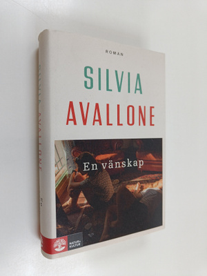 Silvia Avallone : En vänskap