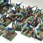 WHFB - 41kpl Lizardmen Saurus Warriors + Skinks [F1] - pikkukuva 4