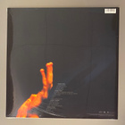 Pearl Jam: Live On Two Legs - 2LP, RSD, LTD, Clear Vinyl - pikkukuva 3