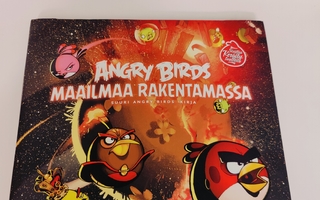 Danny Graydon; Angry Birds maailmaa rakentamassa