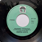 VEEPEE LEHTO Sinkku HAAVE TOTEUTUU ( MTP-1067 ) - pikkukuva 2