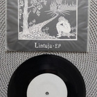 7" Teurastamo 5: Lintuja-ep - pikkukuva 1