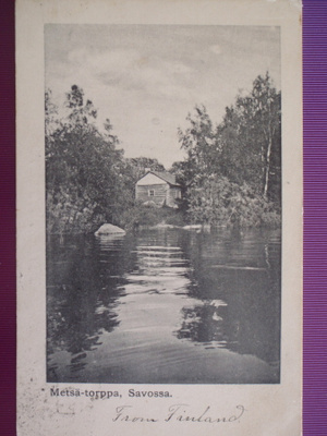 Metsä-torppa Savossa WANHA 1910