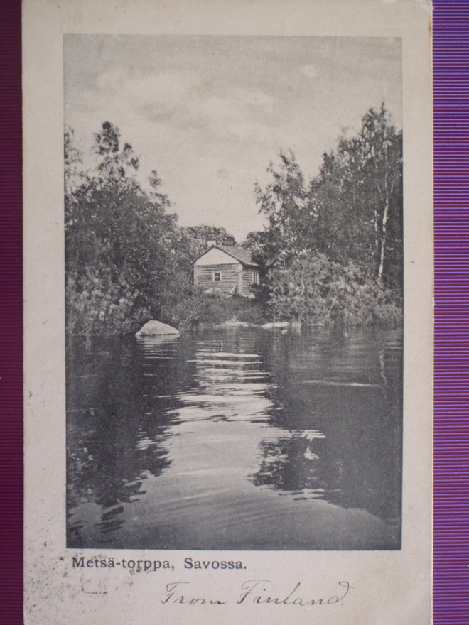 Metsä-torppa Savossa WANHA 1910