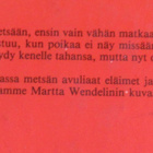 4:n nuortenkirjan paketti - pikkukuva 5