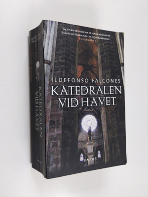 Ildefonso Falcones : Katedralen vid havet