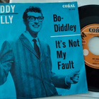 Buddy Holly sinkku - pikkukuva 2