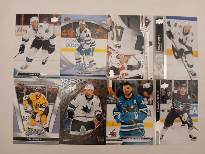 Thomas Hertl  x 8kpl / Vegas + San Jose