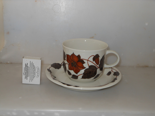 ARABIA GOG TEA FOR TWO TEEKUPPI + TASSI RUSKEA