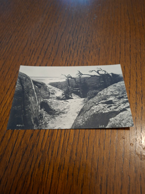 12 Koli