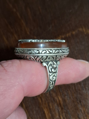 Dragula ring elite edition