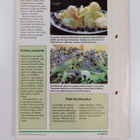 Kukkiva kotini 3/1986 - pikkukuva 2