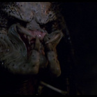 PREDATOR - Special Edition tupla-dvd 1987 - pikkukuva 4