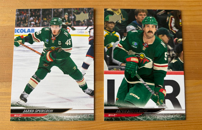 2024-25 Upper Deck Wild: Spurgeon, Middleton