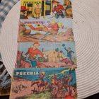 PREERIA LIUSKAT - pikkukuva 1