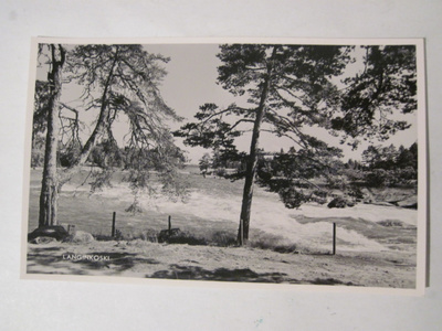 VANHA Postikortti Kotka Langinkosi 1950-l Alkup.Mallikappale