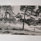 VANHA Postikortti Kotka Langinkosi 1950-l Alkup.Mallikappale - pikkukuva 1