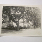 VANHA Postikortti Tammisaari 1930-luku - pikkukuva 1