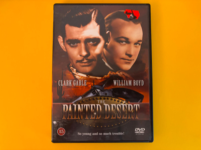 The Painted Desert DVD