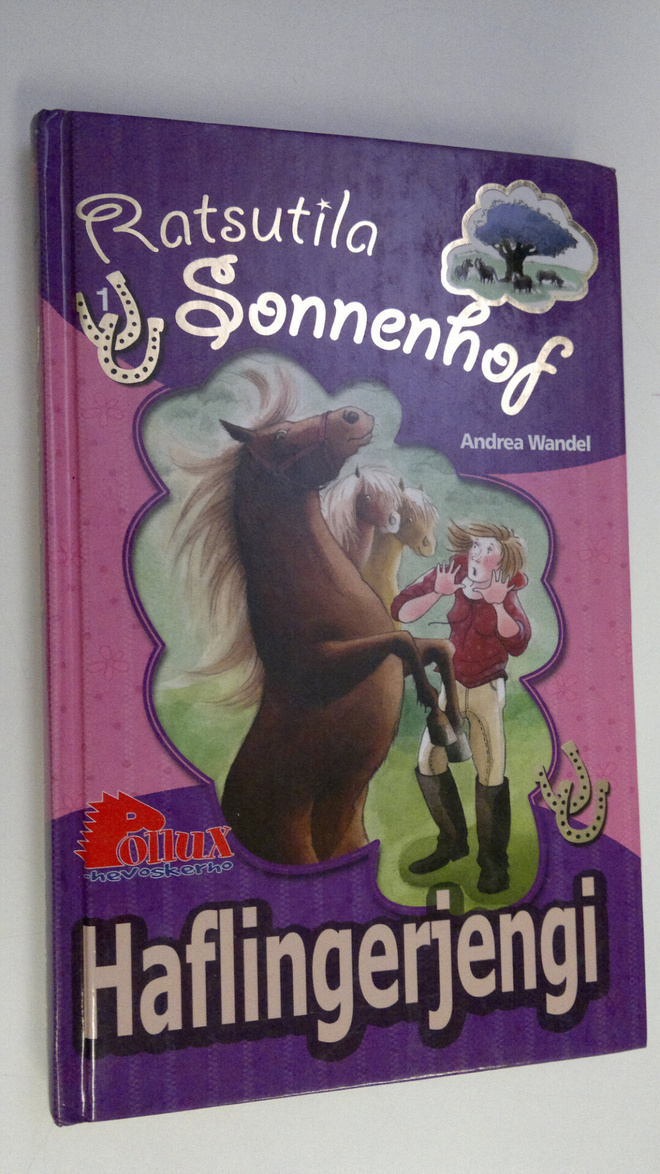 Andrea Wandel : Haflingerjengi