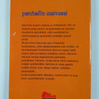 Jane Ayres : Ponitallin uusivuosi - pikkukuva 2