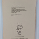 Jussi Rusko : Musta lintu puistossa : runoja (signeerattu... - pikkukuva 2
