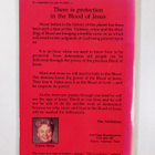Gwen Ruth Shaw : The Power of the Precious Blood - A Bibl... - pikkukuva 2