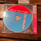 No Doubt - Simple Kind Of Life Cds - pikkukuva 2