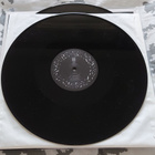 Insomnium - Shadows of the Dying Sun 2LP - pikkukuva 1