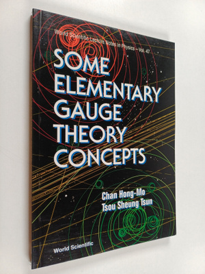 Hong-Mo Chan : Some Elementary Gauge Theory Concepts