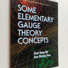 Hong-Mo Chan : Some Elementary Gauge Theory Concepts - pikkukuva 1