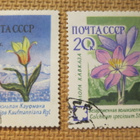 CCCP 1960: kukkia - pikkukuva 2