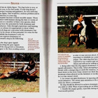 A New Guide to Rottweilers (Ochsenbein, 1996) - pikkukuva 4