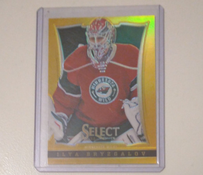 13-14 Select Ilya Bryzgalov Gold /10