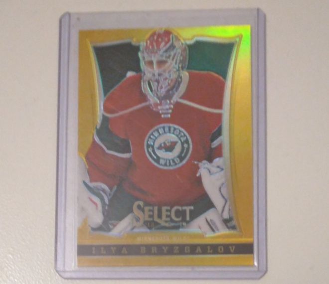 13-14 Select Ilya Bryzgalov Gold /10
