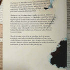 Hermann Hesse - Narkissos ja Kultasuu (sid.) - pikkukuva 2