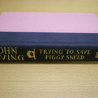 John Irving: Trying to Save Piggy Sneed - pikkukuva 1