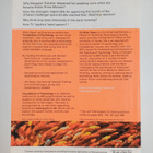 Nicky Hayes : Foundations of psychology - pikkukuva 2