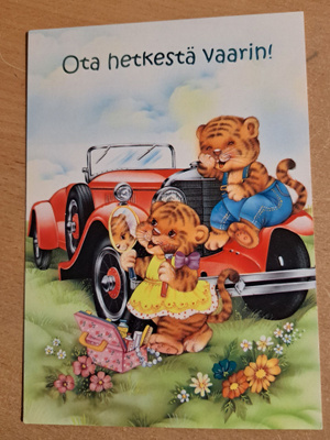 Ota hetkestä vaarin! kissapari, kulkematon