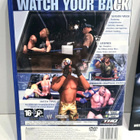 PS2 - Smackdown! Here Comes the Pain - pikkukuva 2