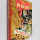 Terry Pratchett : Naamiohuvit - pikkukuva 1