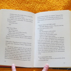 Kirja Panokset Henning Mankell (kovakantinen) - pikkukuva 5